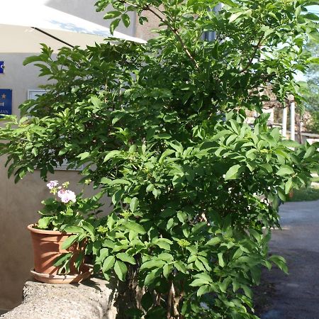 Apartment Krnica N43 Exterior foto